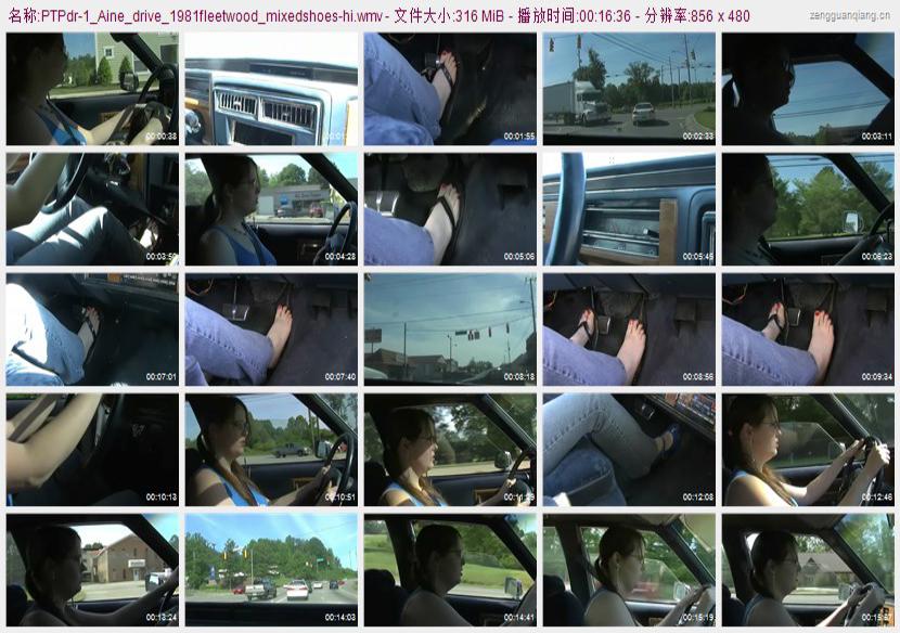 ptpdr-1_Aine_drive_1981fleetwood_mixedshoes